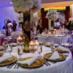 G-DNA_GALA_2024-143_jciq5p